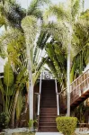 Shangri-La Bed & Breakfast Hotels near Caycubs