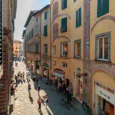 Casa Ugolino in Lucca Others