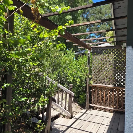 Peaceful retreat in the woods close to town