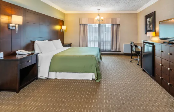 節慶羅德威旅館