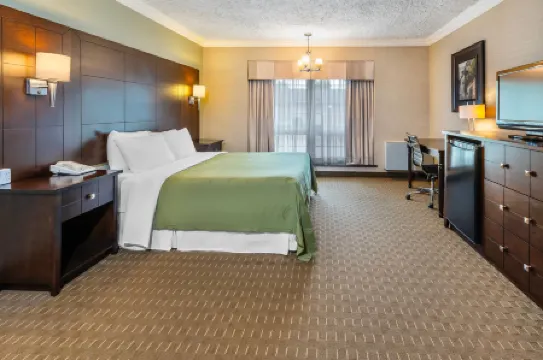 Rodeway Inn Festival