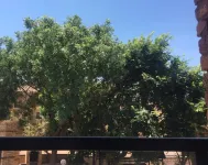 Cozy Studio Apartment with Wifi backup