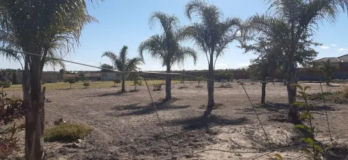 Nhaka Savaal - Cottage Miami Hotels in Goromonzi