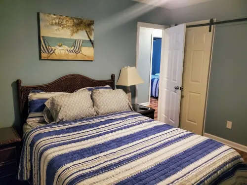 The Ducks Winter Nest @ White Lake NC