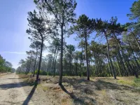 Refúgio Junto à Praia. Casa Familiar, com Jardim. Aceitam-se Animais! Hotels in Cortegaca