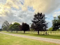 Protea Cottage. Relax-Explore-Work. 3km to Town. Hotels in Masterton