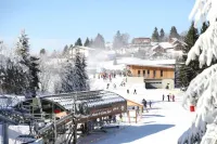 Apt F2 furnished in chalet (Cocooning) 4 People