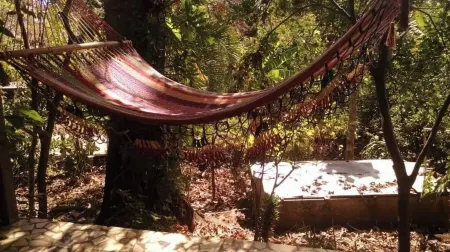 Perfect Jungle Getaway. Close to Adventure, Miles Away From Ordinary. Отели в г. Ла Консепсьон