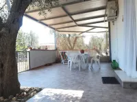 Villetta immersa nell'uliveto di famiglia