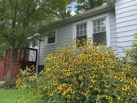 1920s Bungalow with private garden, close to downtown Hotels in Sans Souci