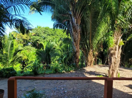 Amazing jungle & ocean views tiny condo PB4 with 1 bedroom at Vista Encantada!