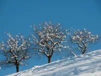 Nice apartment next to cable car Hotels in Nendaz