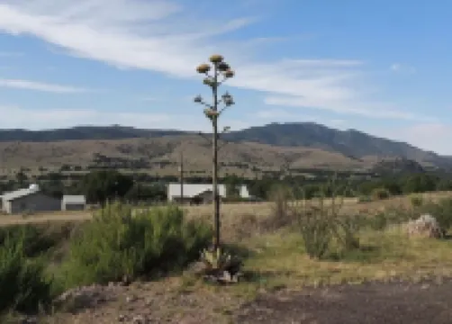 Casita on Arabella Mountain