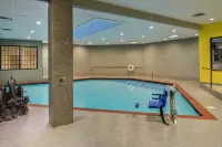 Holiday Inn DALLAS-RICHARDSON by IHG - Pools