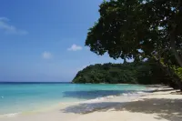 Tanjong Jara Resort, Terengganu - Small Luxury Hotels of the World - Beach