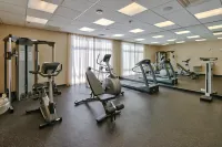 Holiday Inn ROSWELL by IHG - Træningscentre