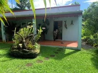 LA Maison Bleue Appt Colibri AU Milieu D'un Jardin Tropical