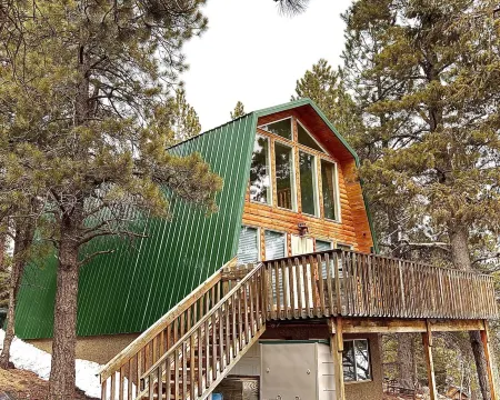 New! Cozy Bear Cabin - Fully Remodeled