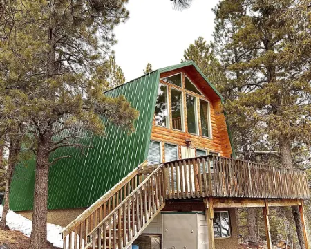New! Cozy Bear Cabin - Fully Remodeled
