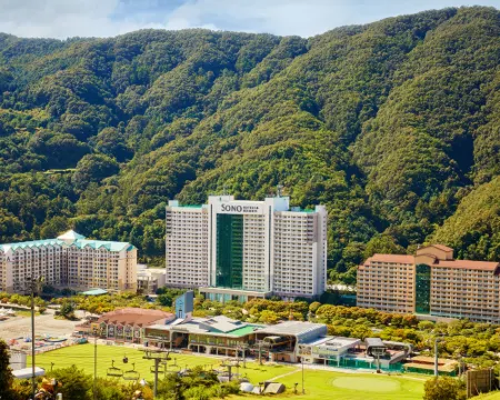 維瓦爾第公園酒店 洪川郡酒店