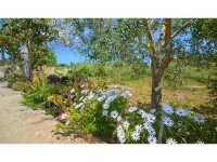 Cottage in Buger with Private Pool & Views