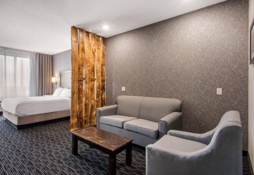 컴포트 인 & 스위트 노스배틀퍼드