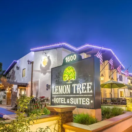 The Lemon Tree Hotel