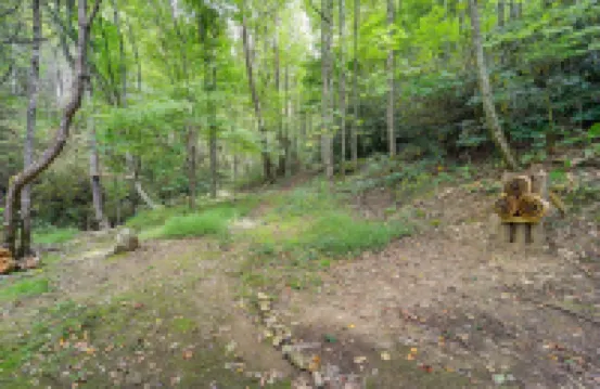 'เกรย์สโตน' เคบินริมลำธาร: เดินป่า, ตกปลา และสำรวจ!