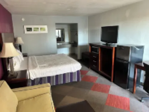 이그제큐티브 인