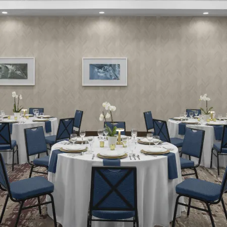 Hilton Garden Inn San Marcos