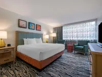 Bluegreen Vacations Hammocks at Marathon, Ascend Collection Resort Hotels in Marathon