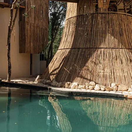 Taio Tulum