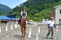 Horse Riding Club Amagi Horse Village - Villas