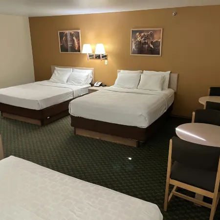 Kings Inn Cody