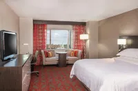 Sheraton Springfield Monarch Place Hotel - Swimmingpools