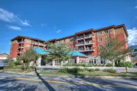 Hilton Garden Inn Gatlinburg - bar