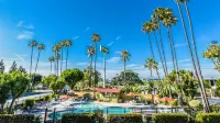 Vagabond Inn Costa Mesa - Swimmingpools