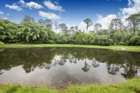 Grand Superior Condo Apartment Near Disney Parks #1