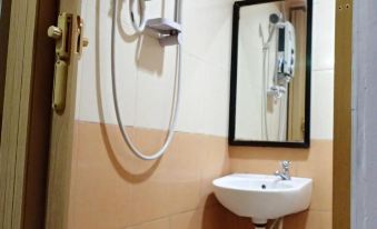 a bathroom with a white sink , mirror , and shower head is shown in the image at Adamson Inn Penang