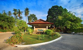 4. 호텔 트로피카..