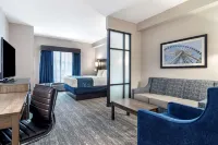 Comfort Suites McDonough Atlanta South Hotels in McDonough