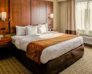 Comfort Suites Georgetown Hotels in Georgetown