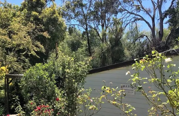 山頂住宿加早餐旅館