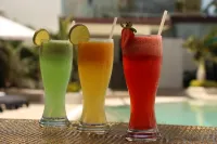 Hotel Tulija Palenque - bar