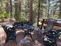 Owl Cabin Hotels in Fawnskin