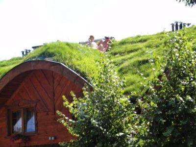 a wooden house with a green roof , surrounded by trees and bushes , and filled with a variety of plants at Troll