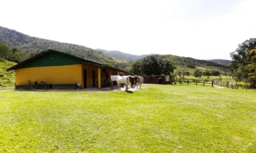 Palmas Hotel & Spa
