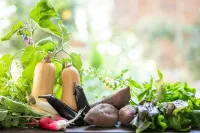 Petit Hotel Clanvert