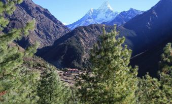 Everest Summit Lodge - Tashinga