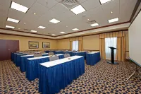 Hampton Inn & Suites Indianapolis-Airport - spa